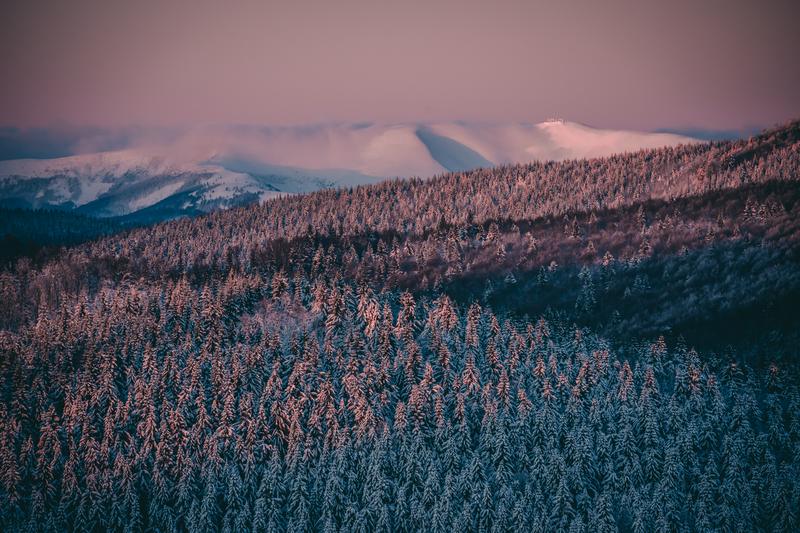 Skialpinizmus